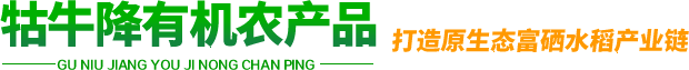 쿵x|